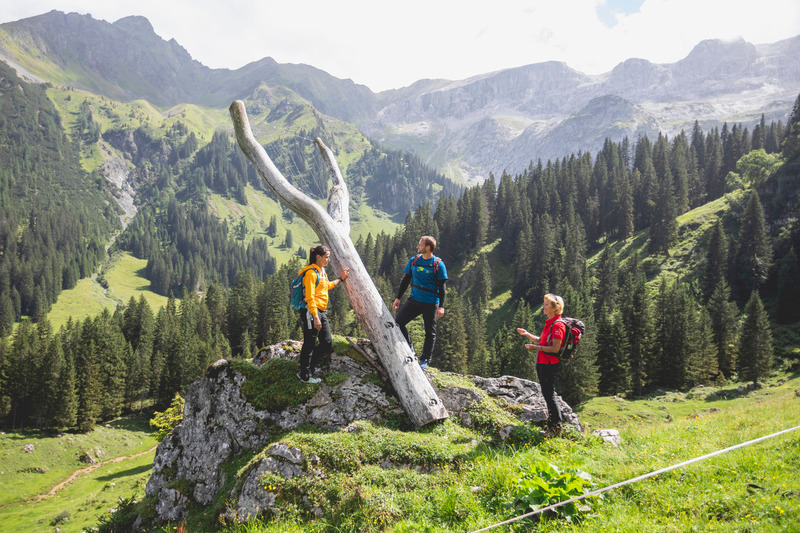 Gauertaler_AlpkulTour_c_Stefan_Kothner_Montafon_Tourismus.jpg